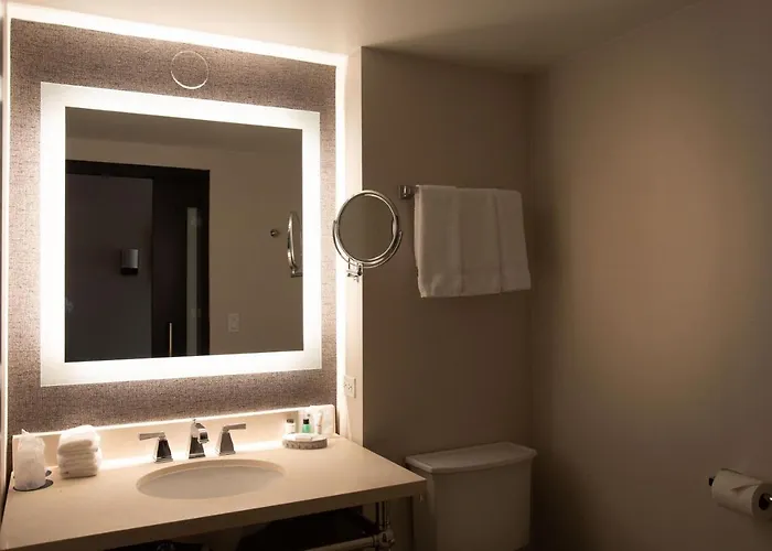 Hotel Sheraton Chicago 4*